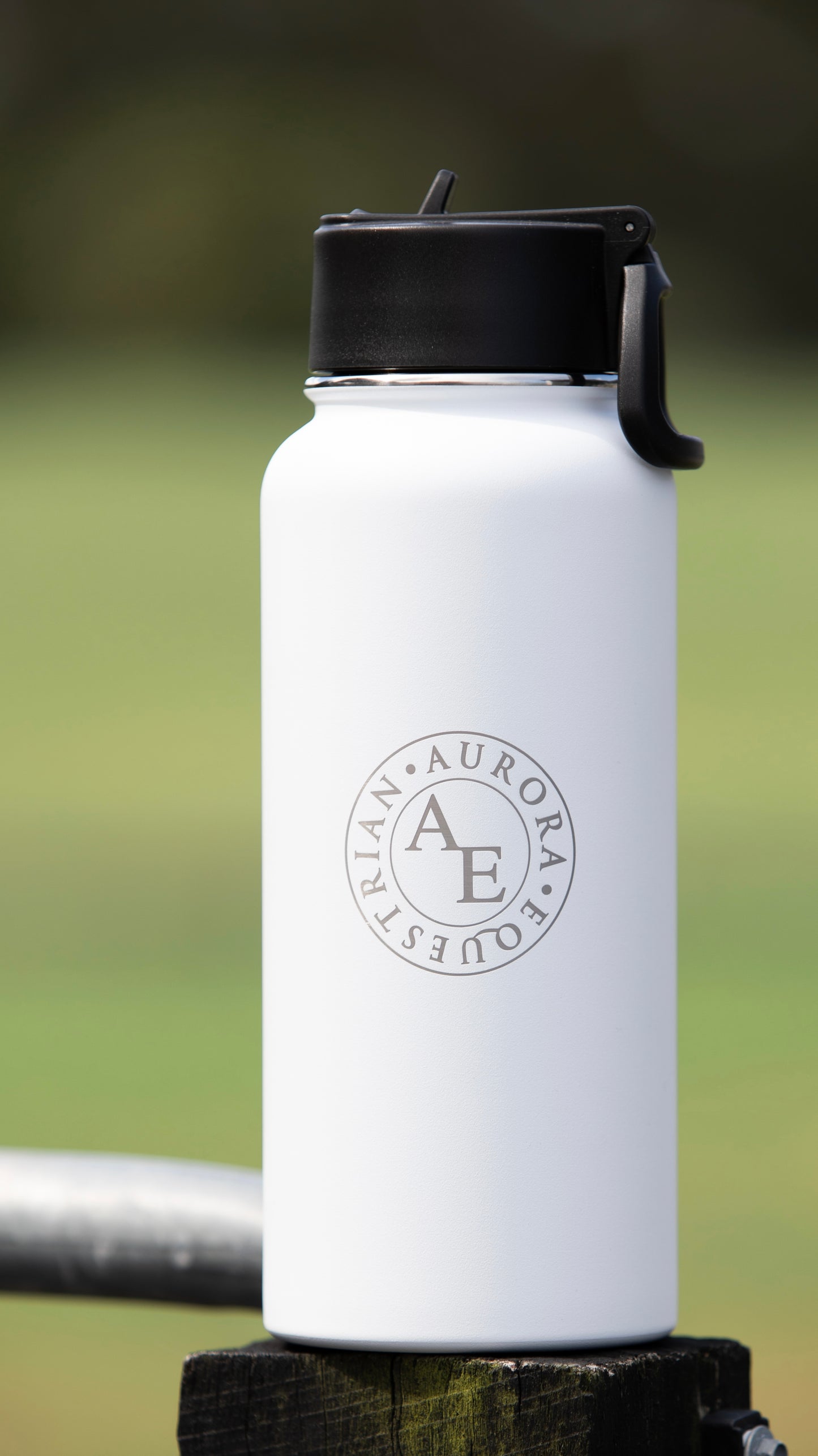 Insulated Stainless Steel Water Bottle (950ml)