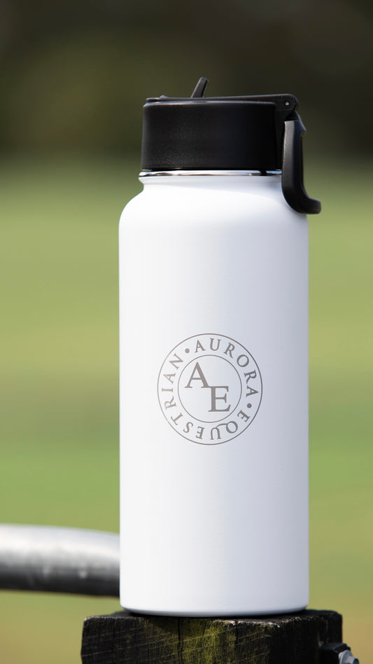 Insulated Stainless Steel Water Bottle (950ml)