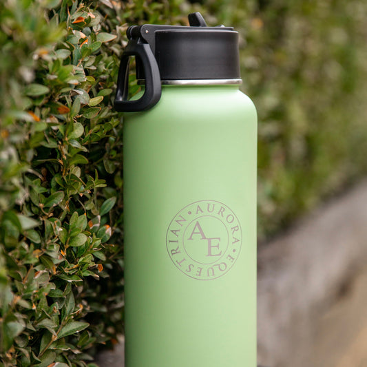 Insulated Stainless Steel Water Bottle (950ml)