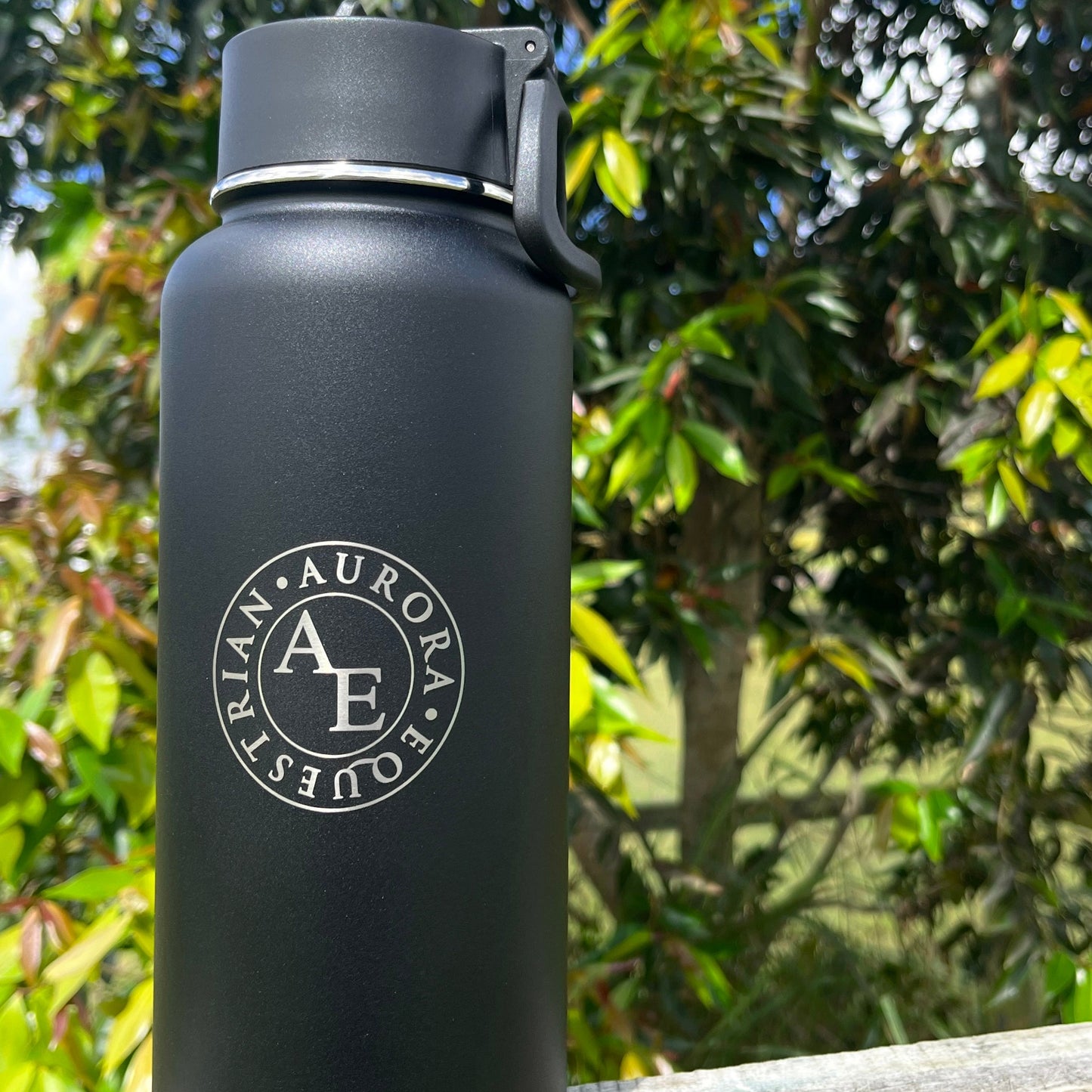 Insulated Stainless Steel Water Bottle (950ml)