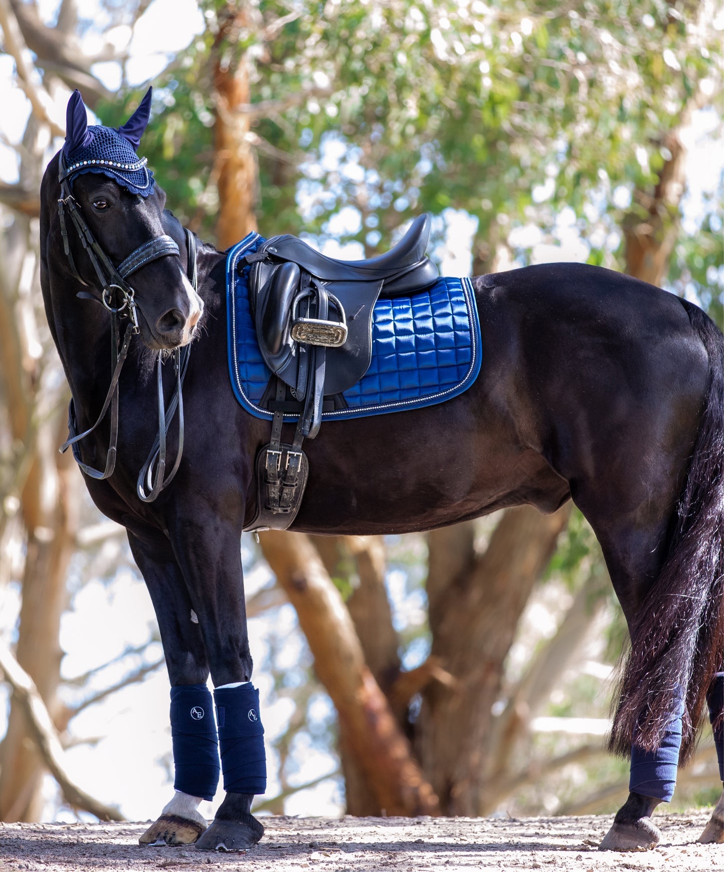 Fleece Polo Wraps - Royal Blue