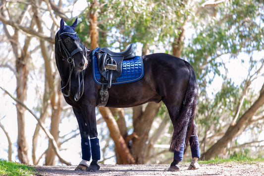 Royal Blue Satin Dressage Saddle Pad